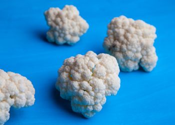 Beyond Green: Exploring the Regenerative Agriculture Revolution